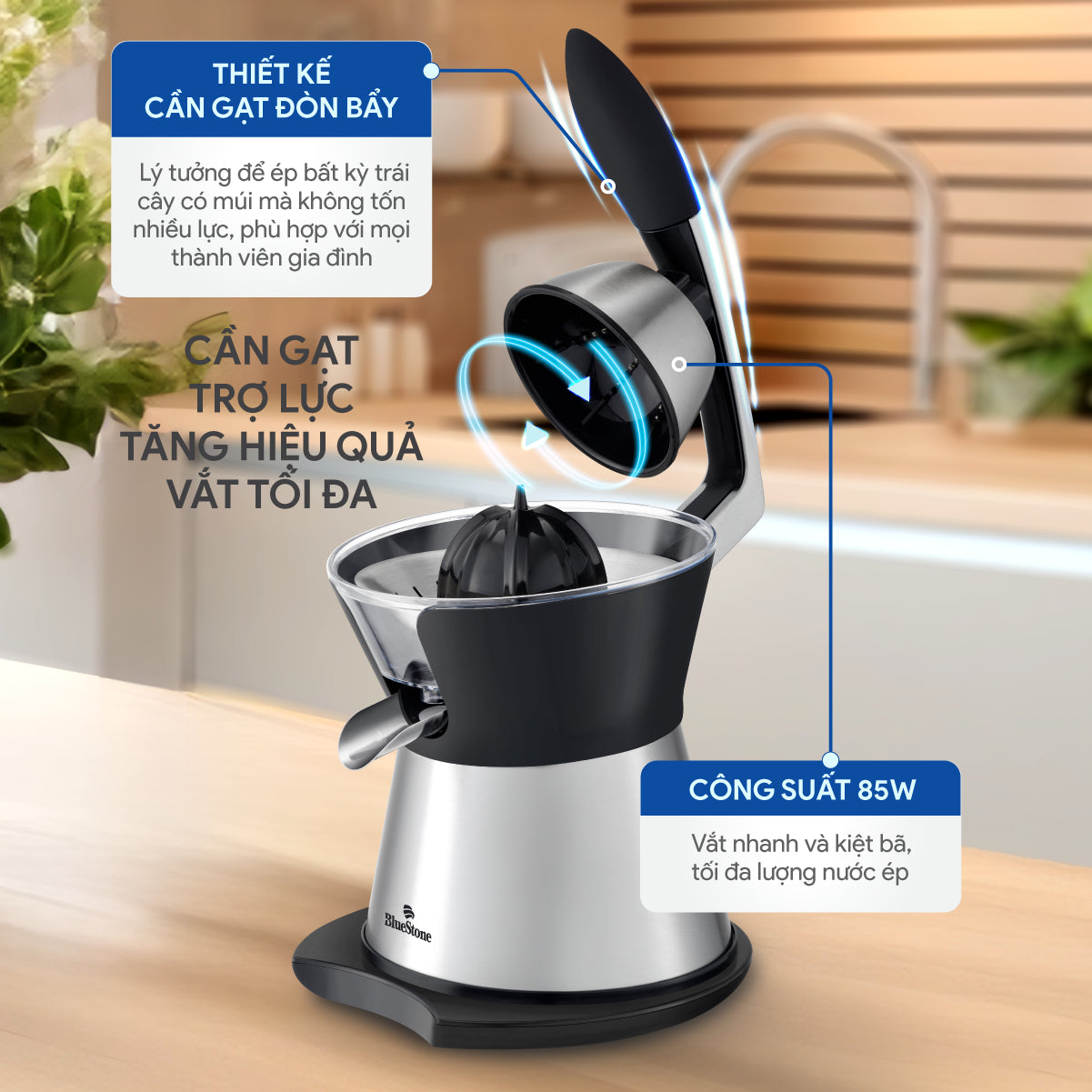 Máy Vắt Cam BlueStone CJB-1173 85W